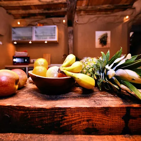 Relaxing Retreat Near Forests