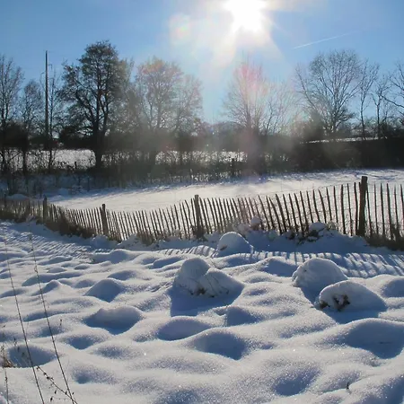Relaxing Retreat Near Forests Dom wakacyjny